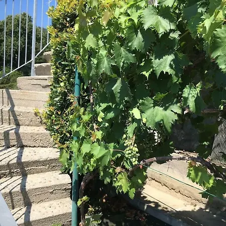 Casa Concetta Appartement
